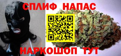 СК Дубна