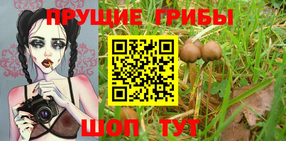 Лянтор  Псилоцибиновые грибы ЛСД  Галлюциногенные грибы ЛСД  Вход с VPN 