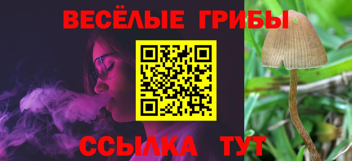 Галлюциногенные грибы MAGIC MUSHROOMS Лянтор